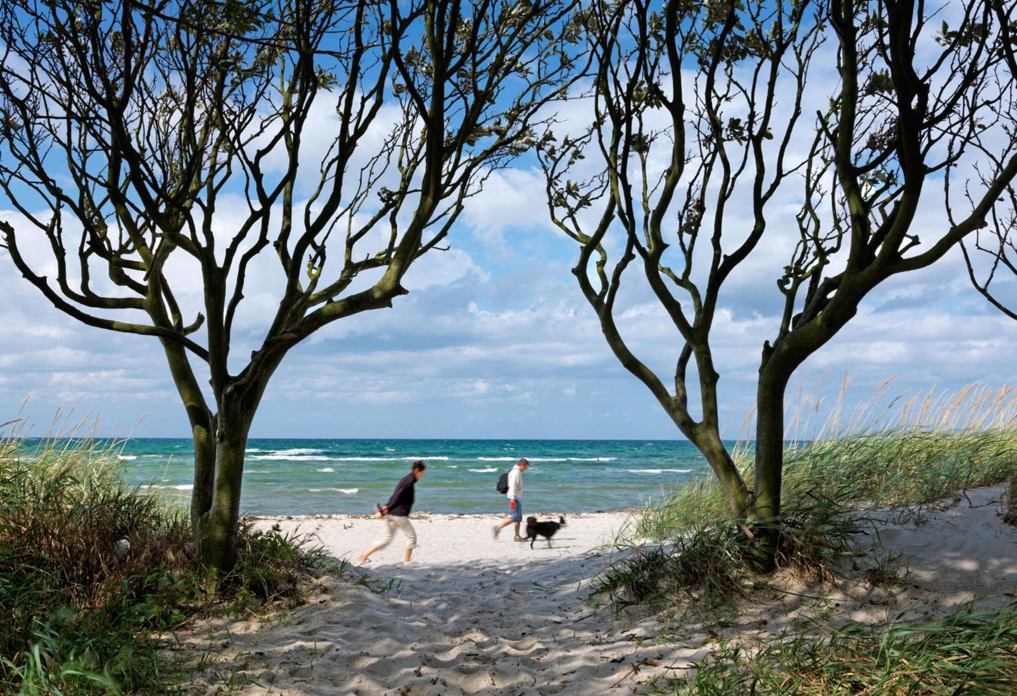 Inselhaeuser Kaltenhof Inselhaus Poel 2 Exteriör bild